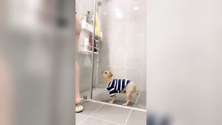 [신작]남자의 시선 제나 5월 (10)