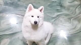 @lily_yunsky 얼공 임신 섹트녀 (61)
