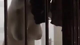 몰래 목욕하는 모습을 촬영하다