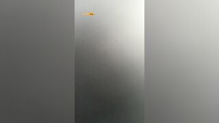 신작 차간단_장발남 [보빨.얼공.올탈입싸녀].
