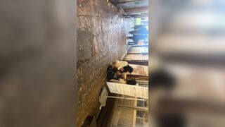 저 둘이 잘 될려나 korean porn vip ipcam