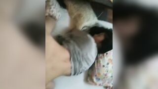 문신충남과 미녀여친 korean porn vip