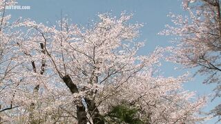 JUL-664 A record of the three days I spent back home, where I lost track of time and made love with my admired classmate, who had become a married wom... Reducing Mosaic JAV