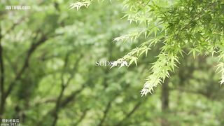 START-432 Nagisa Ren, a beautiful and lewd young hostess who seduces single guests and married couples on a hot spring trip and repeatedly h Reducing Mosaic JAV