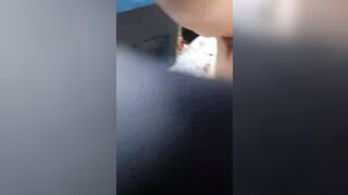 신작_섹스.풋잡 얼공녀 korean porn vip 01