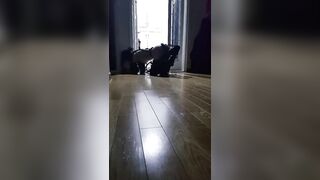 (한국야동) 개처럼 기어가서 ~ 배달원 놀래서 간떨어질듯 korean porn vip