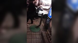 길거리 갈지마오 커플 korean porn vip