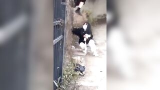 最新版『本物の個人撮影・流出』総まとめ（画像12173／動画3573／120ギガ jvip 280526 QKjBD0mzSjJM23 0038