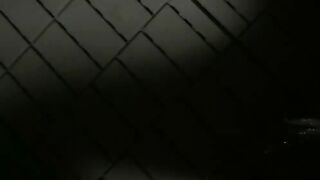 宝石箱 jvip 070626 upJypzStfRus17 0040