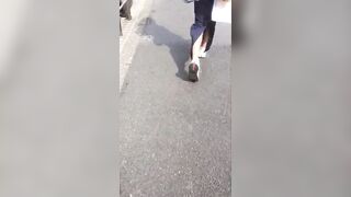 ありえないスケスケ しかもtバックなお母さん エスカパンチラ おまけ逆さ4本バレ 目線あり voyeur jp 03