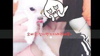KOREAN BJ 2018092208 korean bj 002
