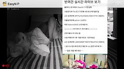 Korea 친구와이프와 불륜 사진모음